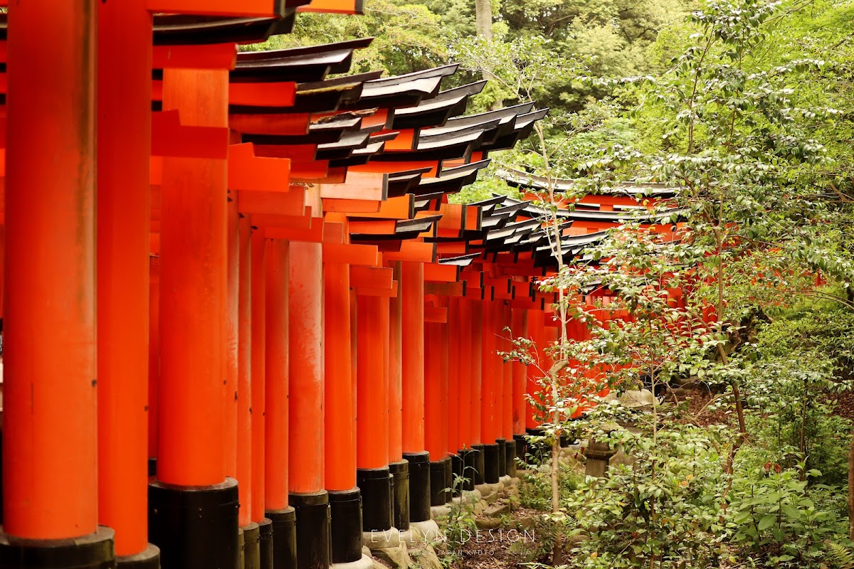 Senbon Torii (Thousand Torii Gates) 3