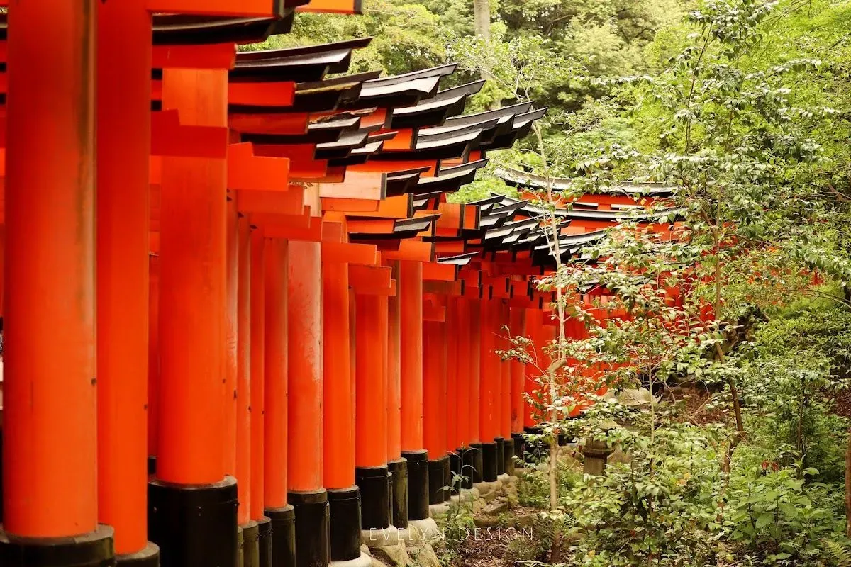 Senbon Torii (Thousand Torii Gates) 3