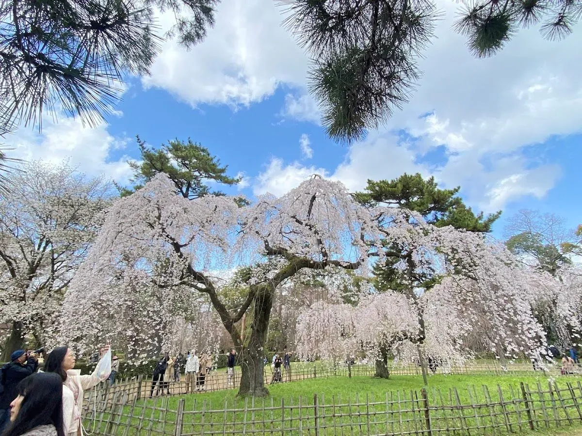 Kyoto Gyoen National Garden 3