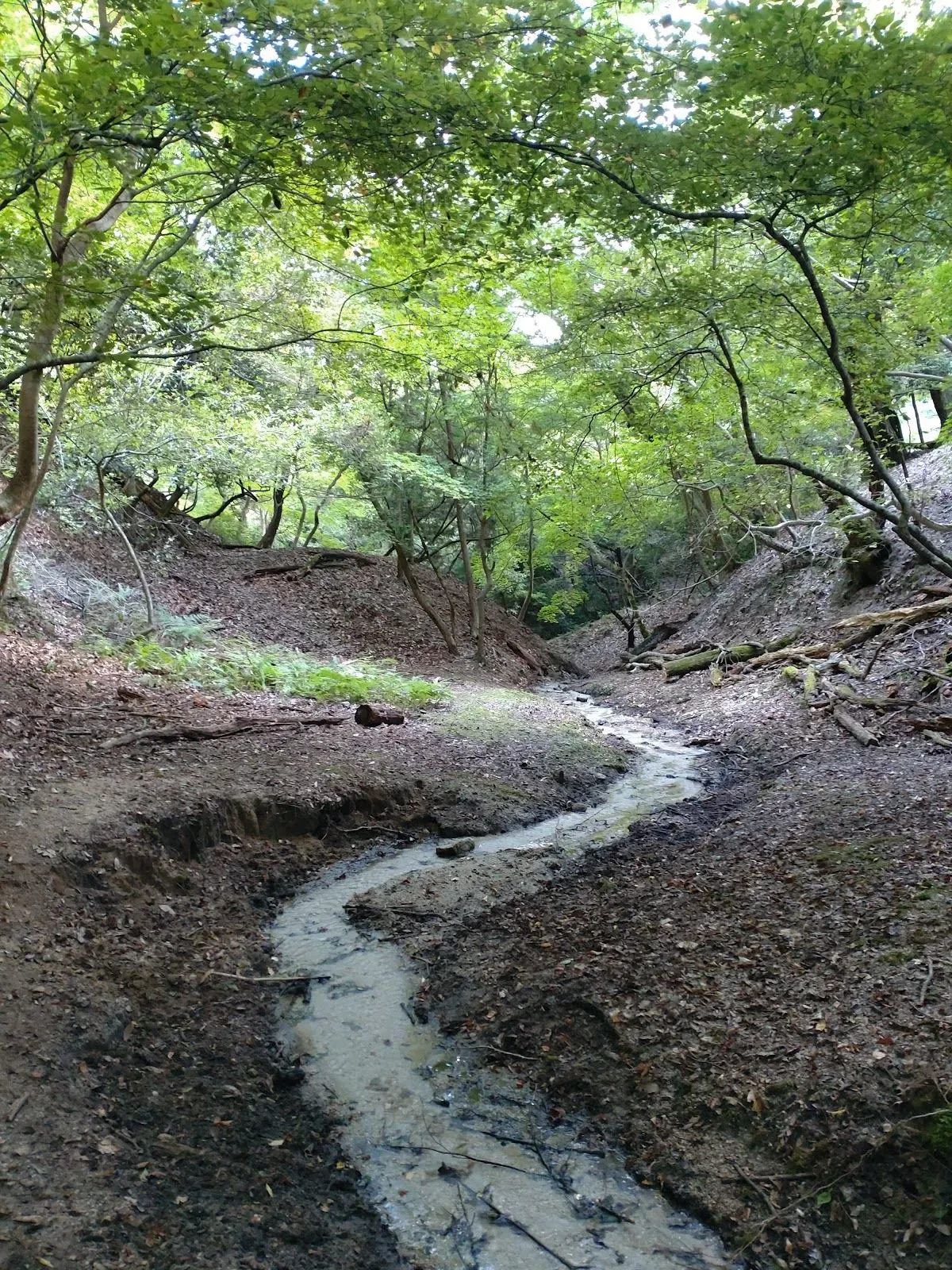 Mount Daimonji 2