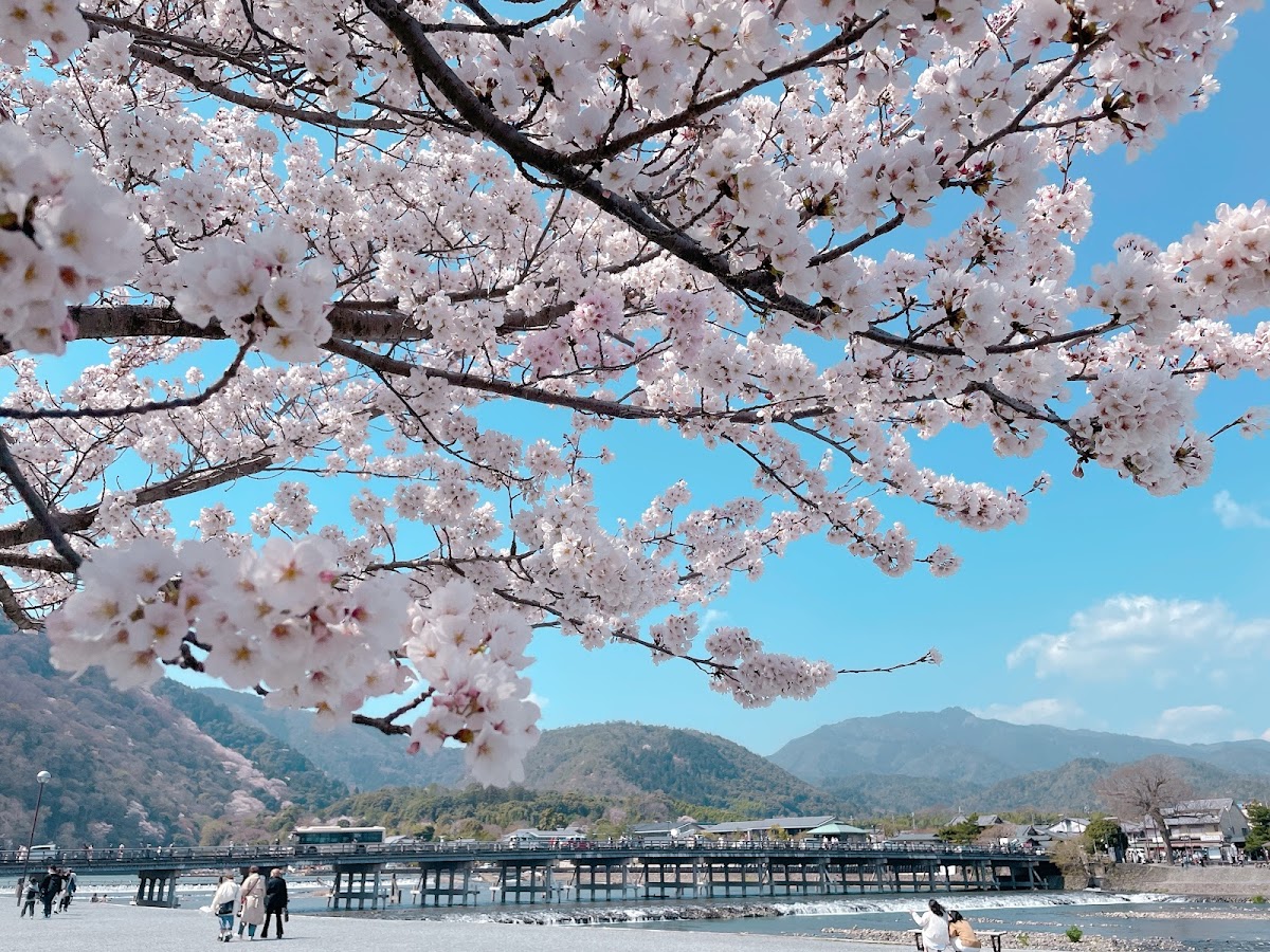 Arashiyama Park Nakanoshima Area 4