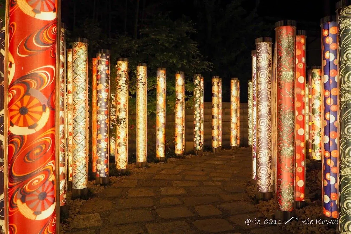 Kimono Forest