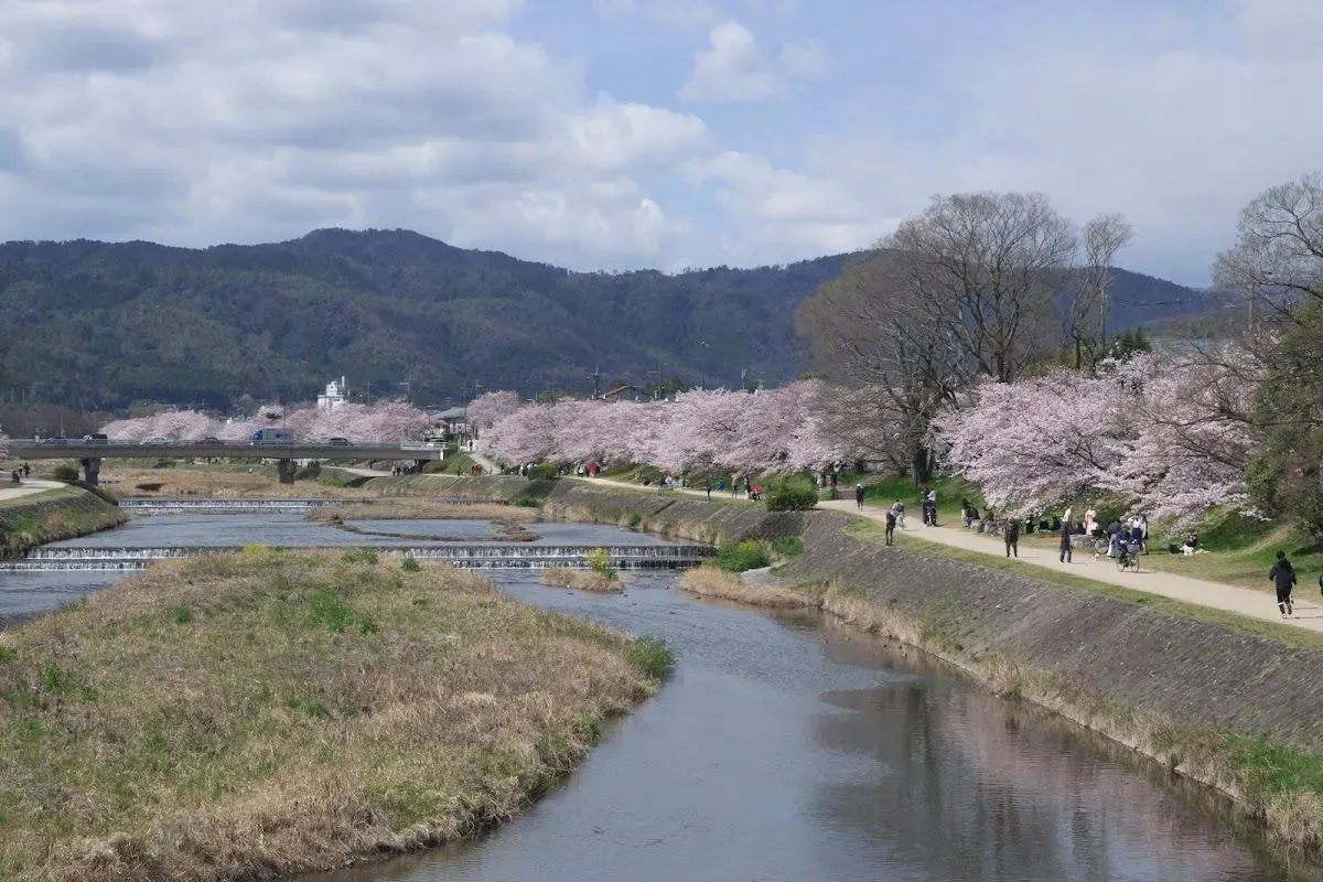Kamogawa Park