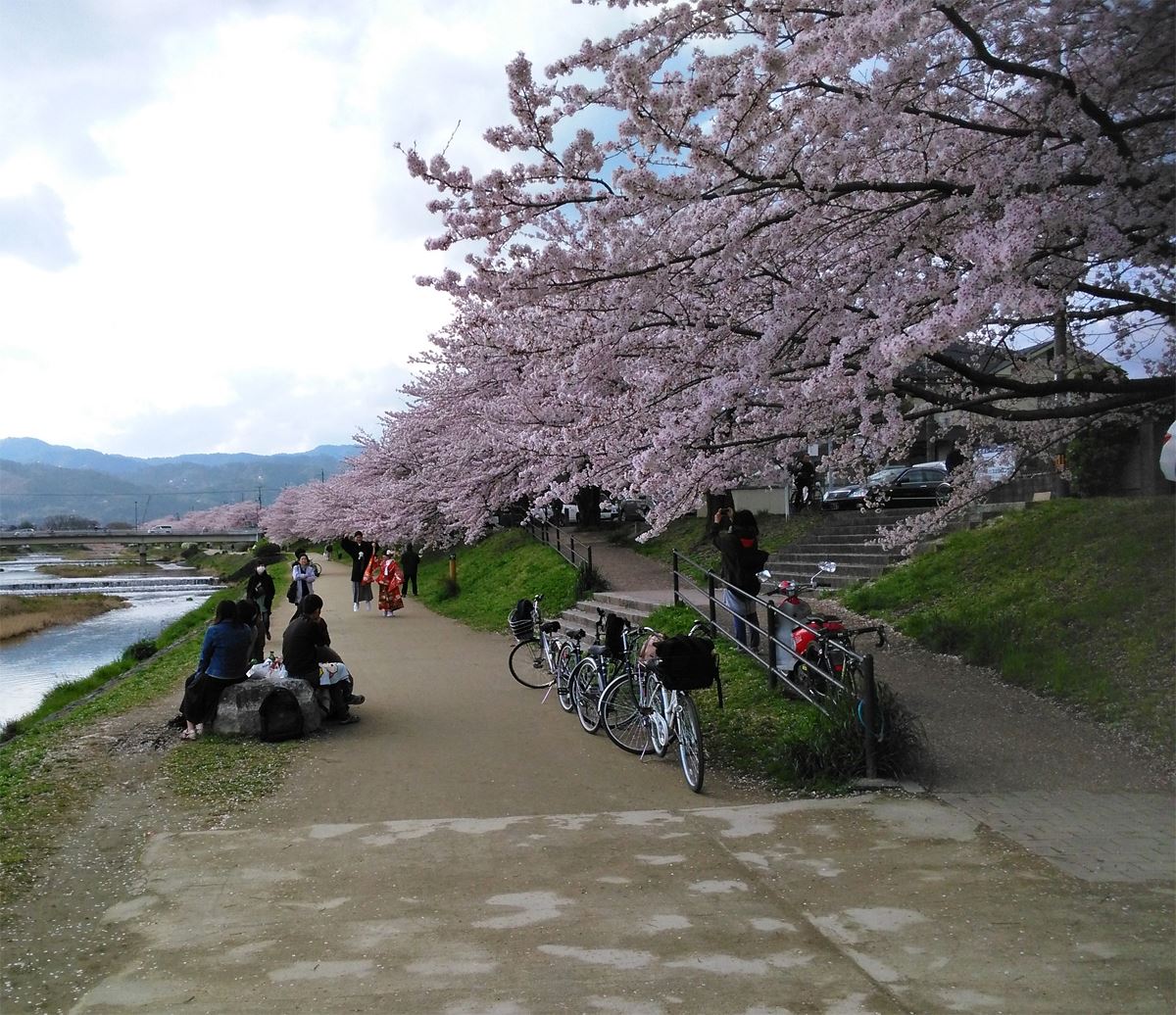 Kamogawa Park 4