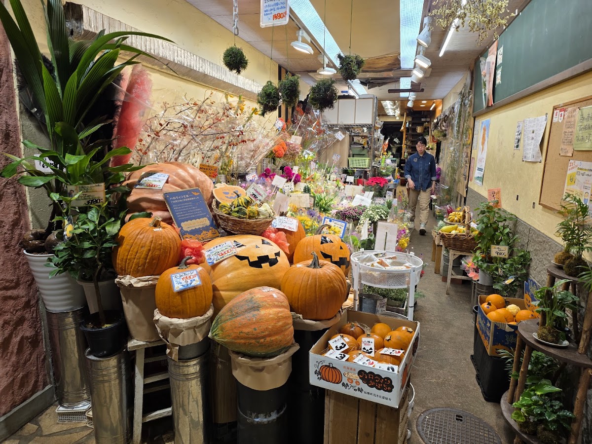 Nishiki Market 4
