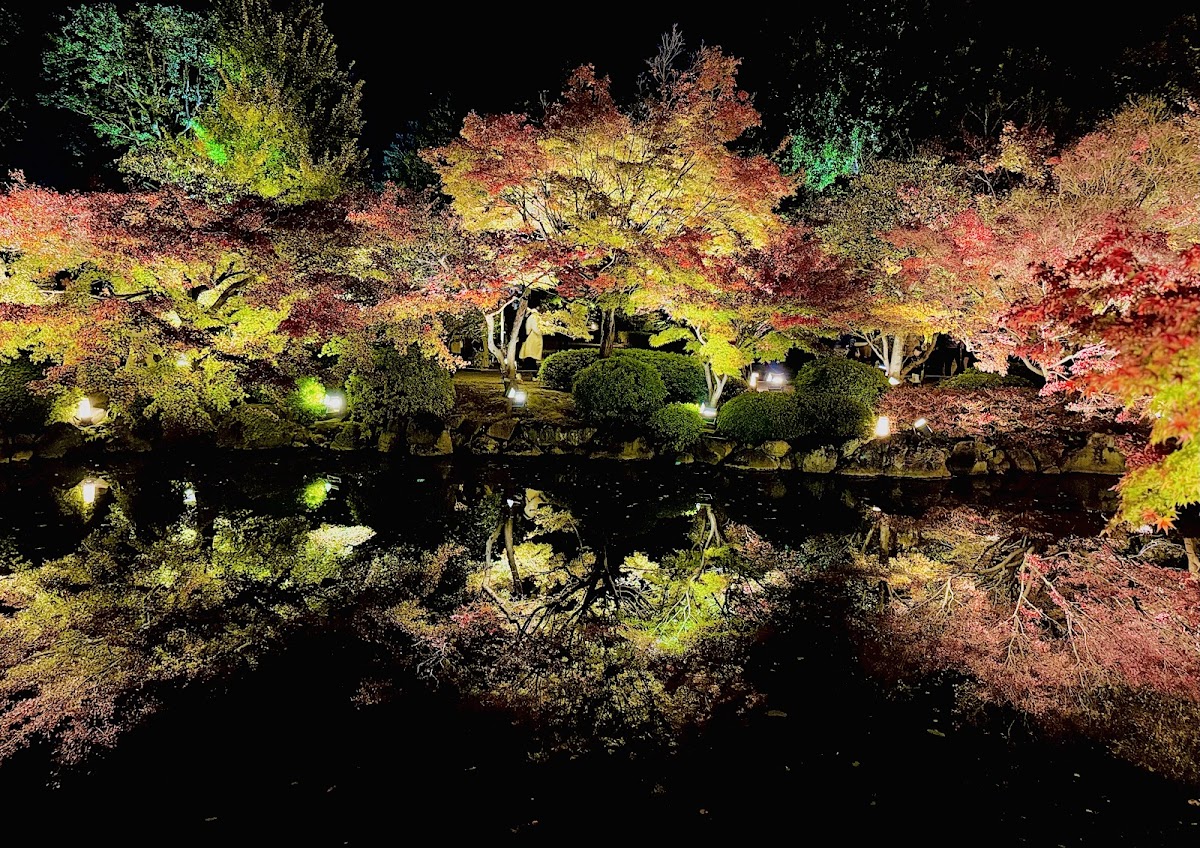 To-ji Temple 4