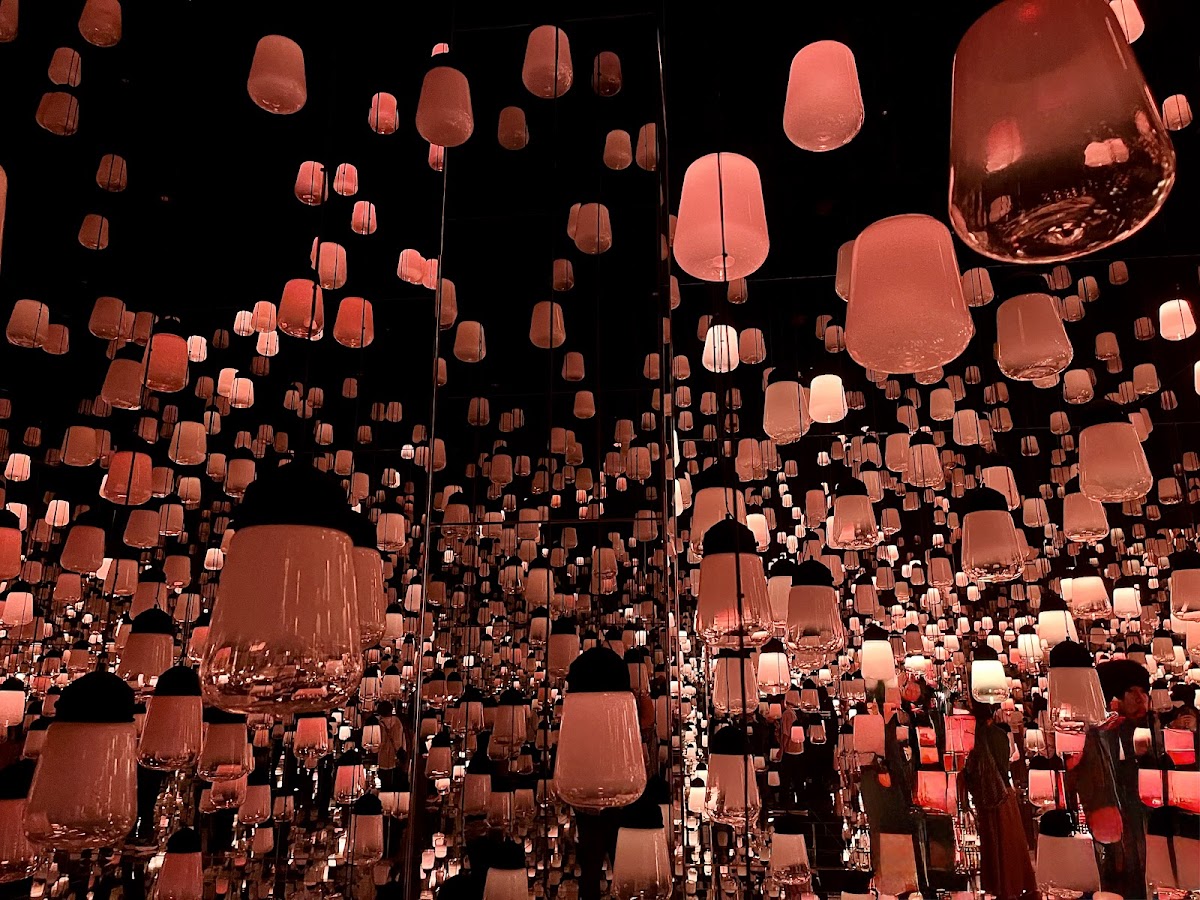 teamLab Biovortex Kyoto 2