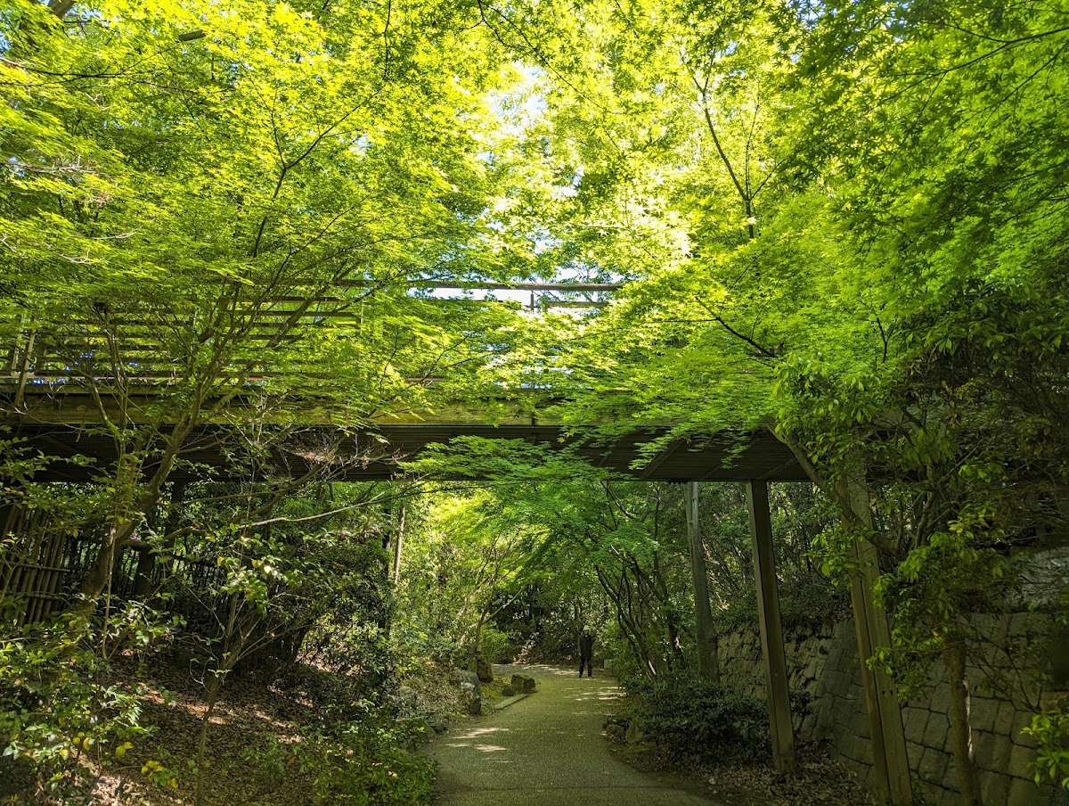 Forest of Life 3