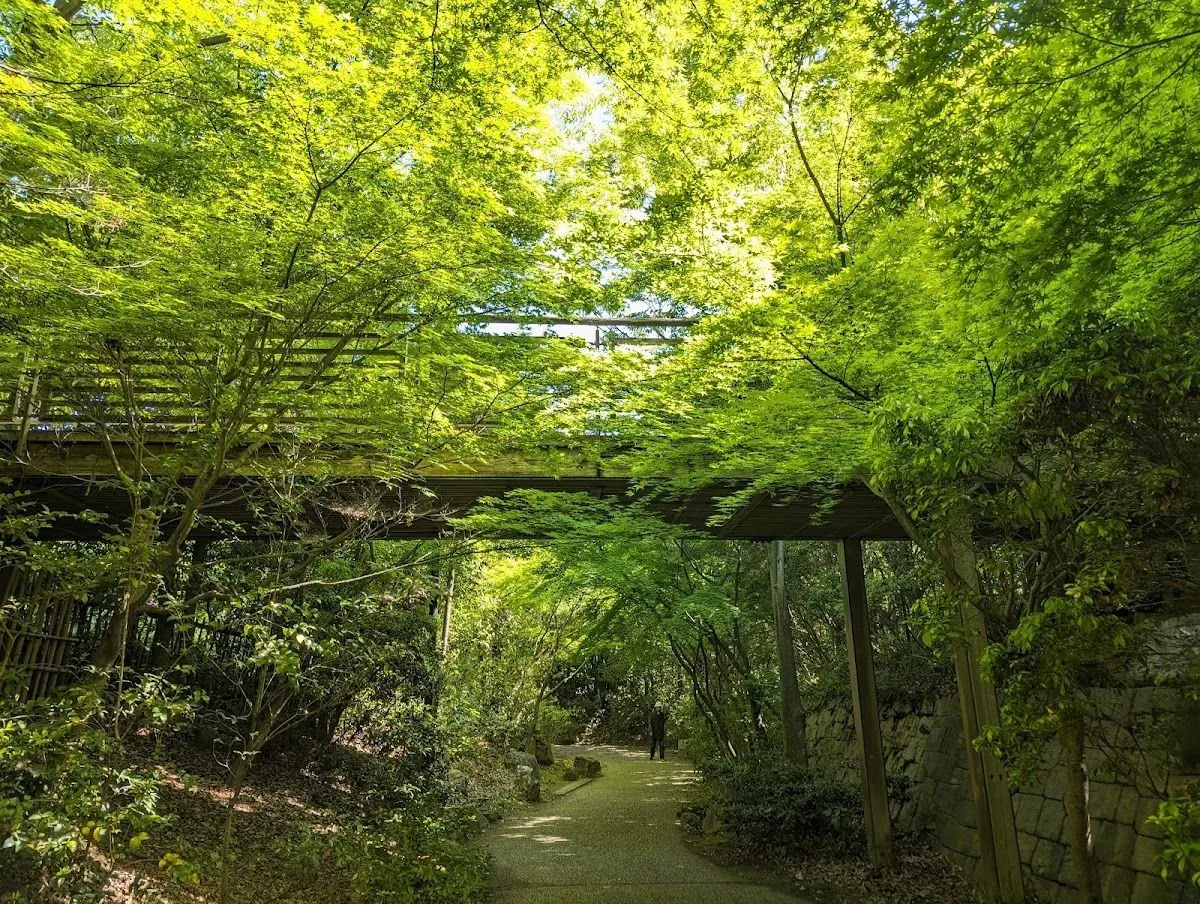 Forest of Life 3