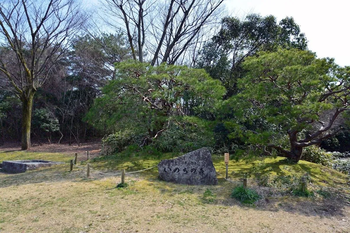 Forest of Life 4