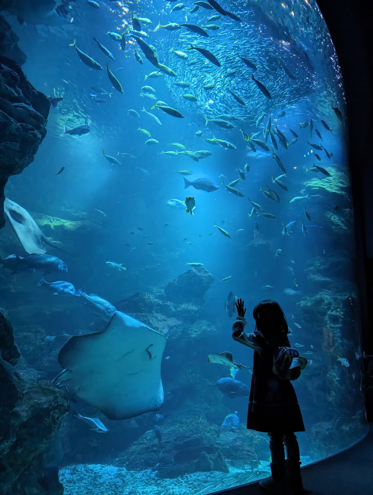 Kyoto Aquarium 2
