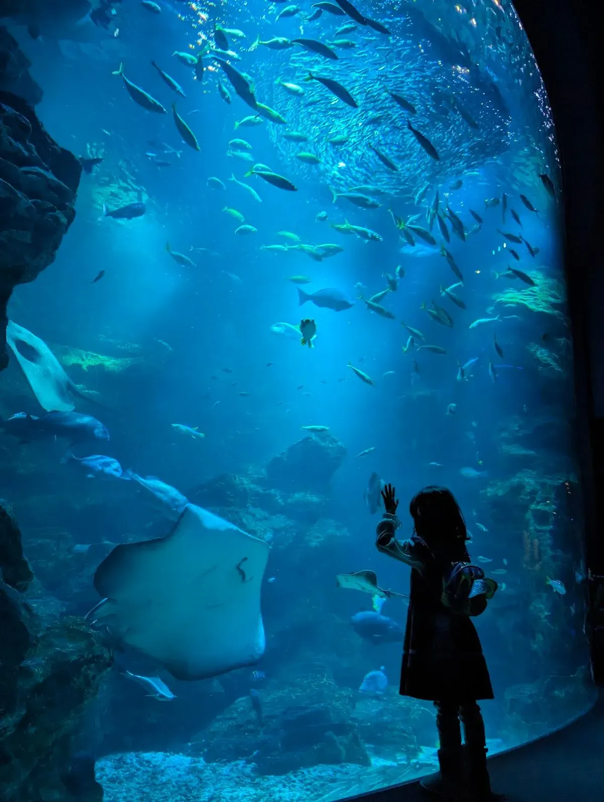 Kyoto Aquarium 2