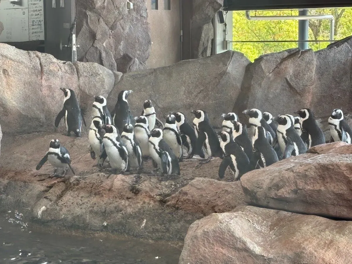 Kyoto Aquarium 3
