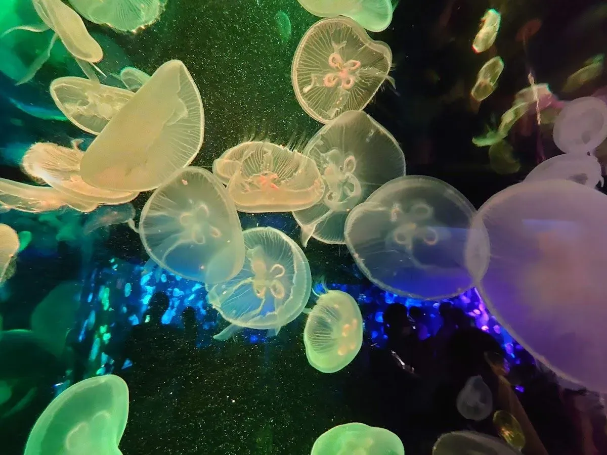 Kyoto Aquarium 4