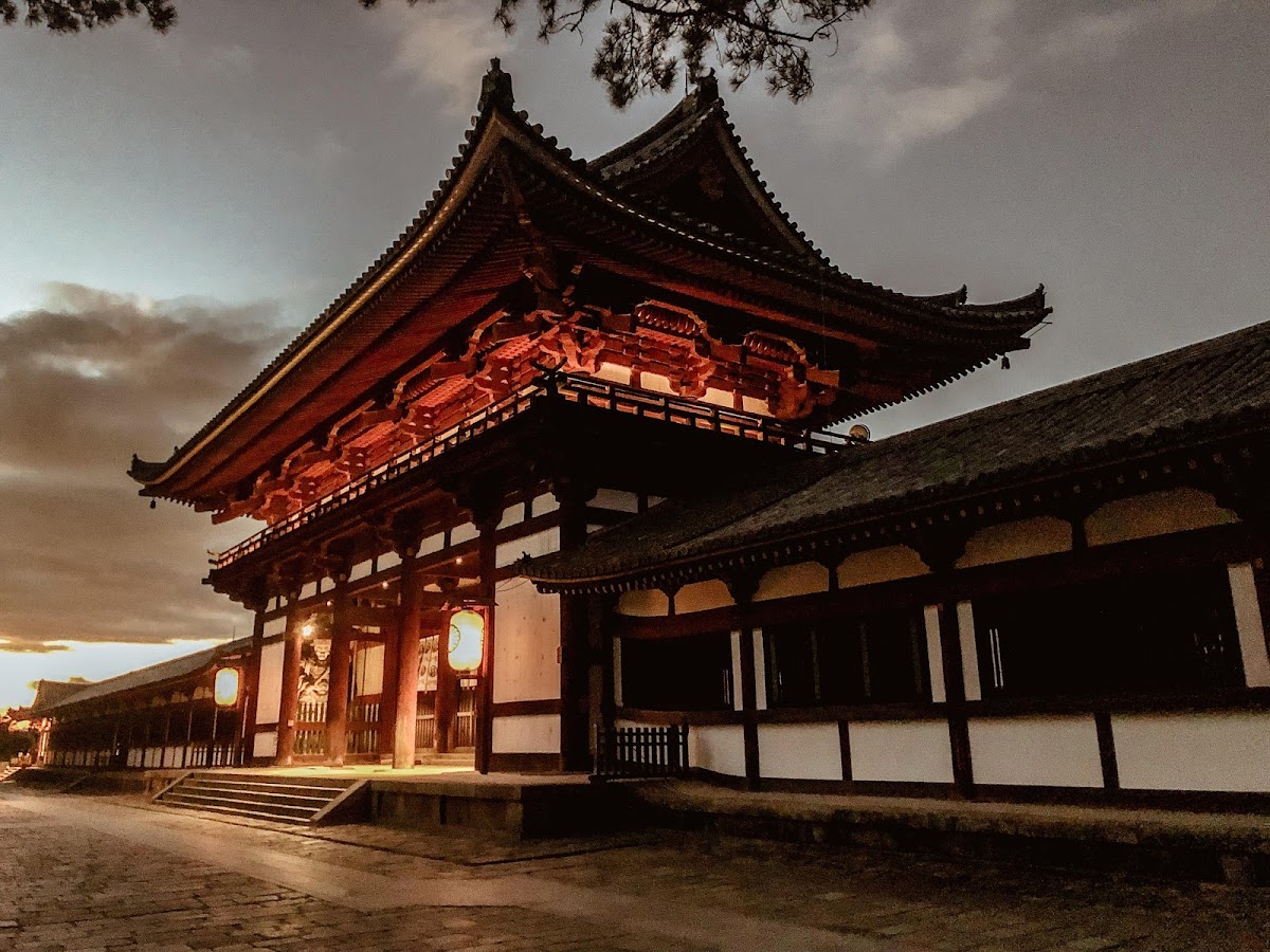 Nara Park 4