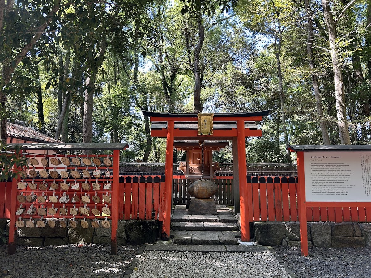 Tadasu-no-Mori Forest 3