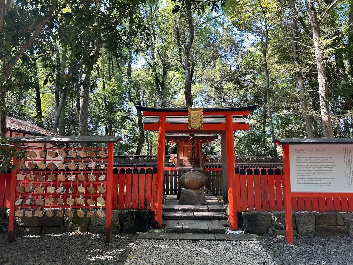 Tadasu-no-Mori Forest 3