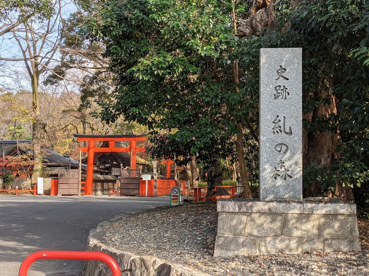 Tadasu-no-Mori Forest 4