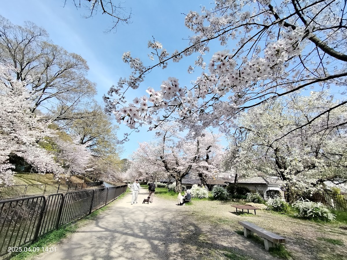 Higashiyama Nature Park