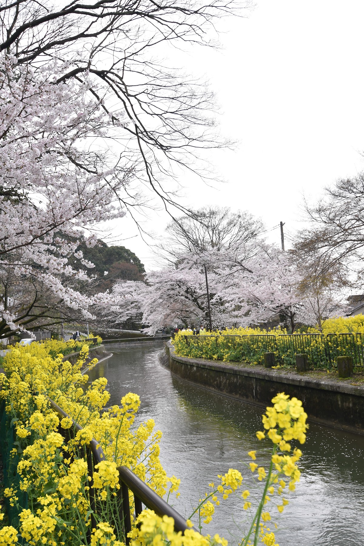 Higashiyama Nature Park 2