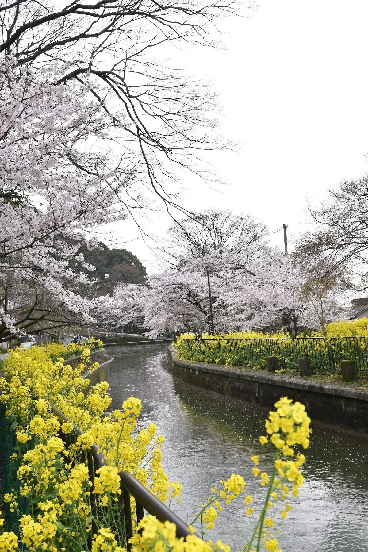 Higashiyama Nature Park 2