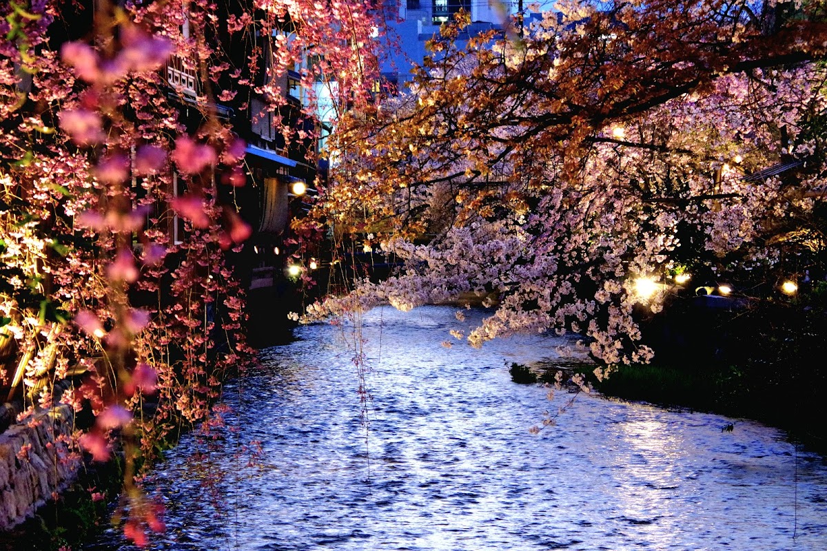 Shirakawa Canal
