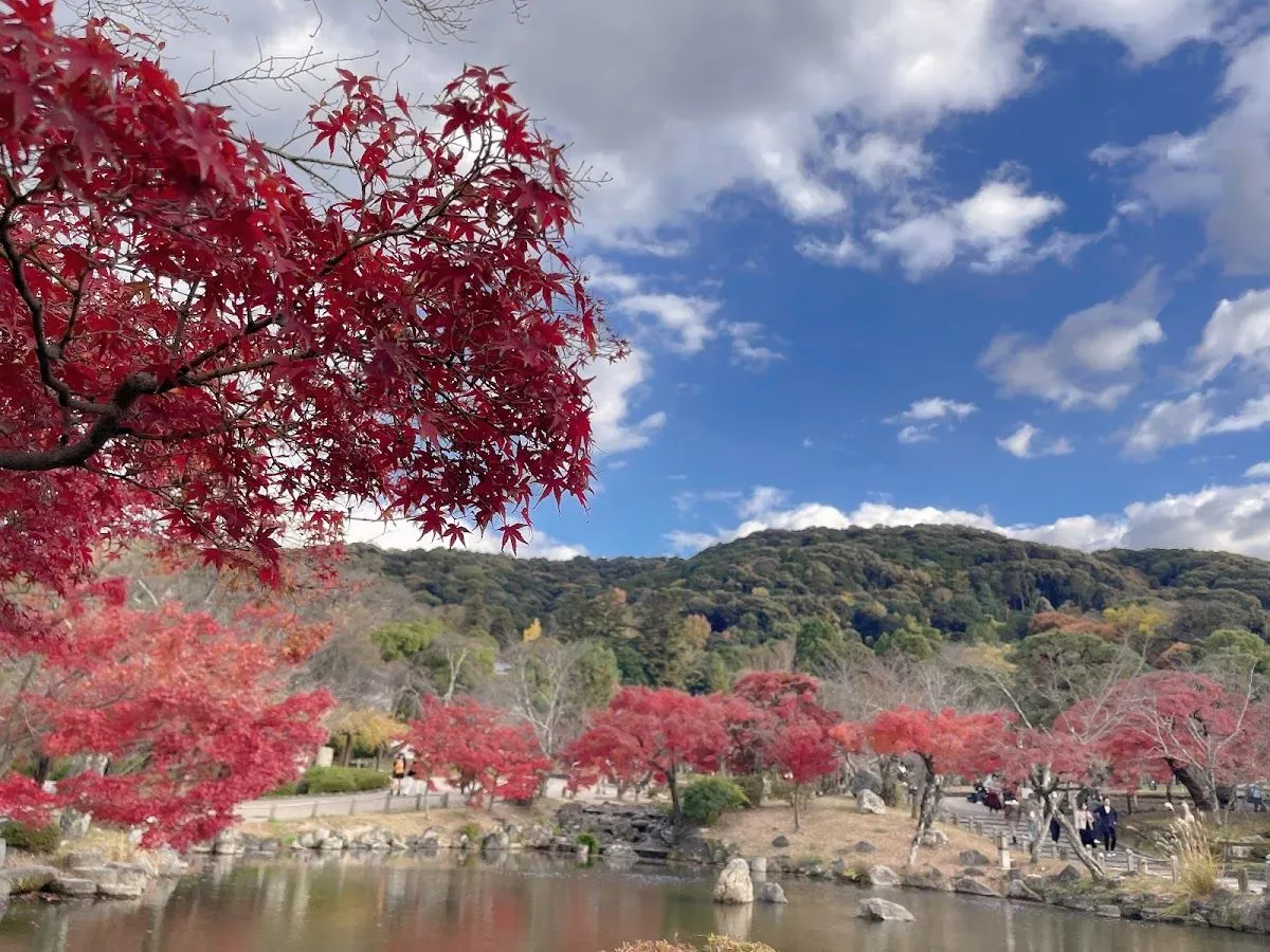 Maruyama Park Japanese Gardens