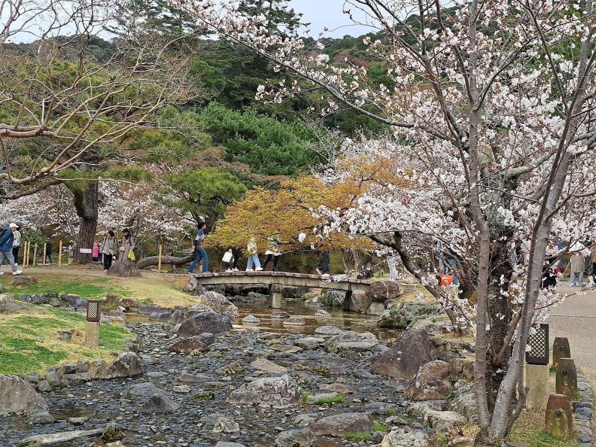 Maruyama Park Japanese Gardens 4