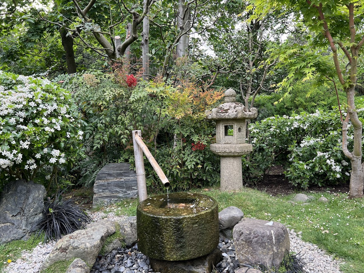 Kyoto Garden 3