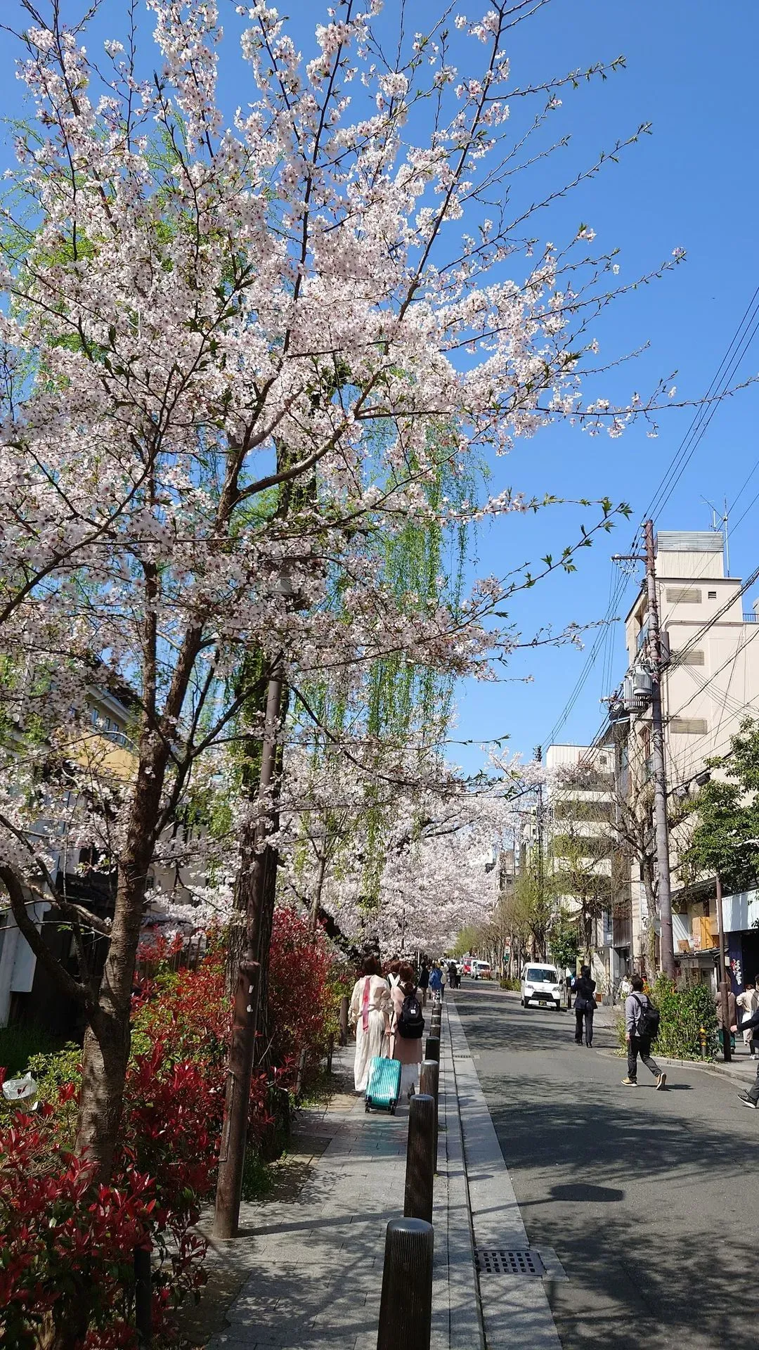 Kiyamachi Dori 3