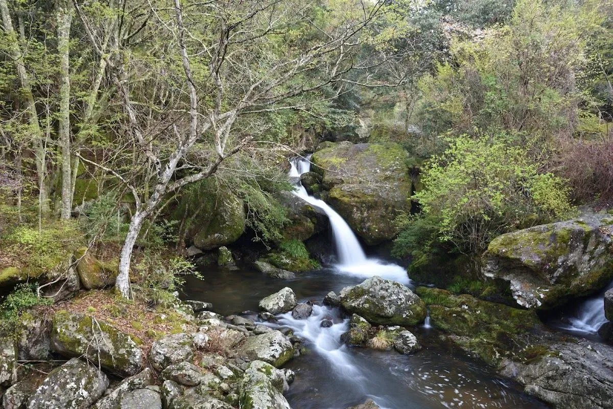 Kyoto Prefectural Rurikei Natural Park
