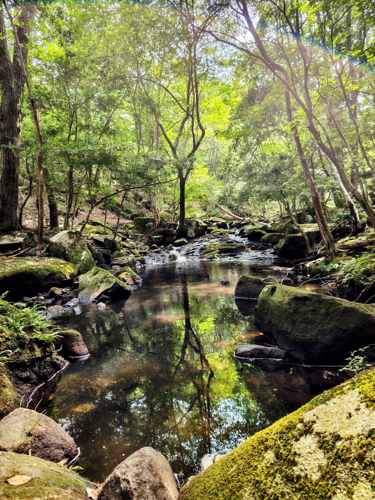 Kyoto Prefectural Rurikei Natural Park 2