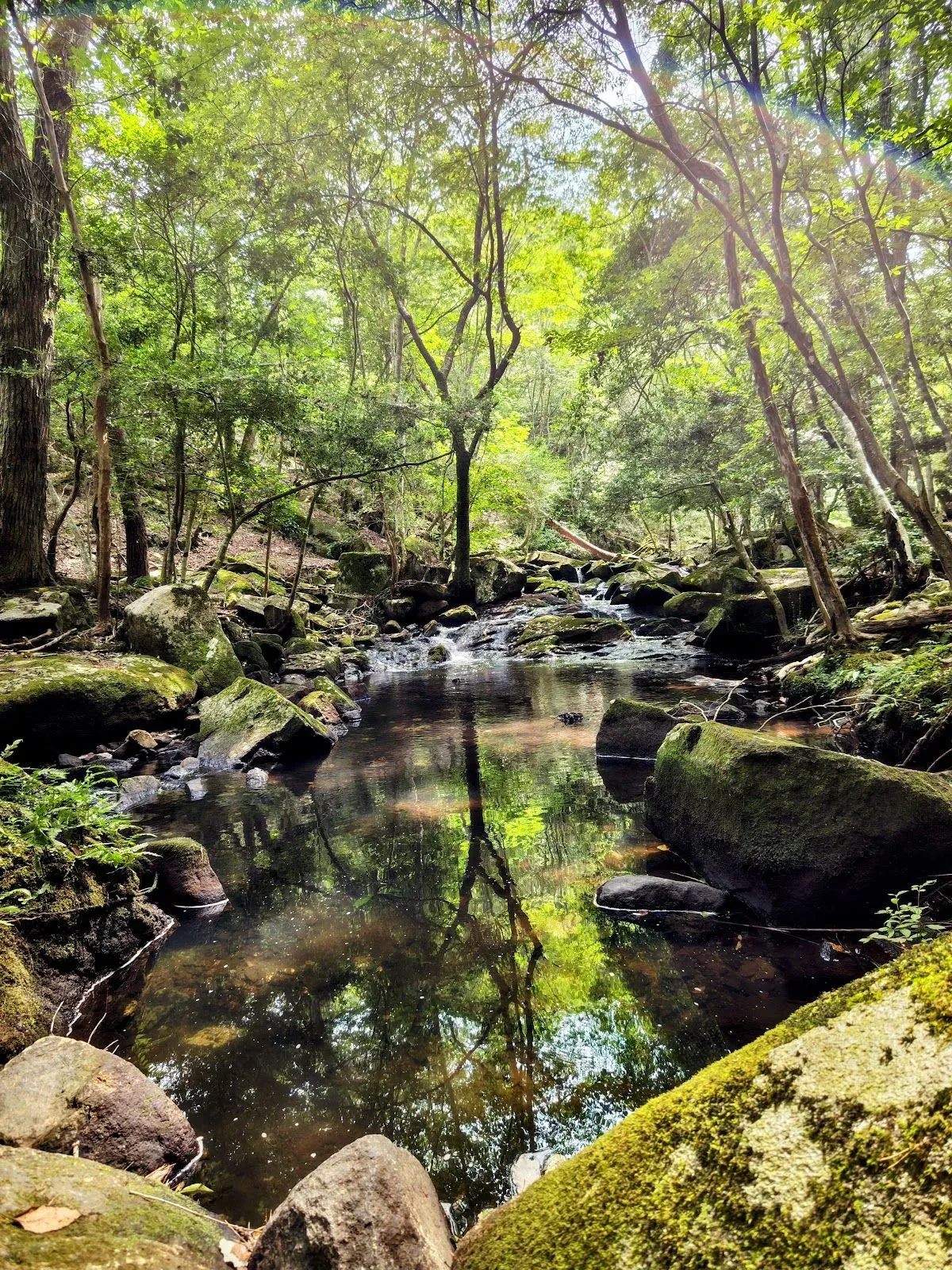 Kyoto Prefectural Rurikei Natural Park 2