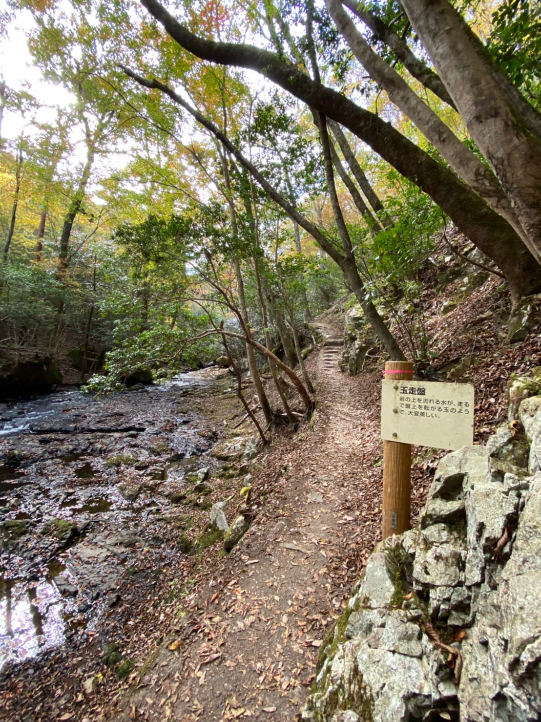 Kyoto Prefectural Rurikei Natural Park 3