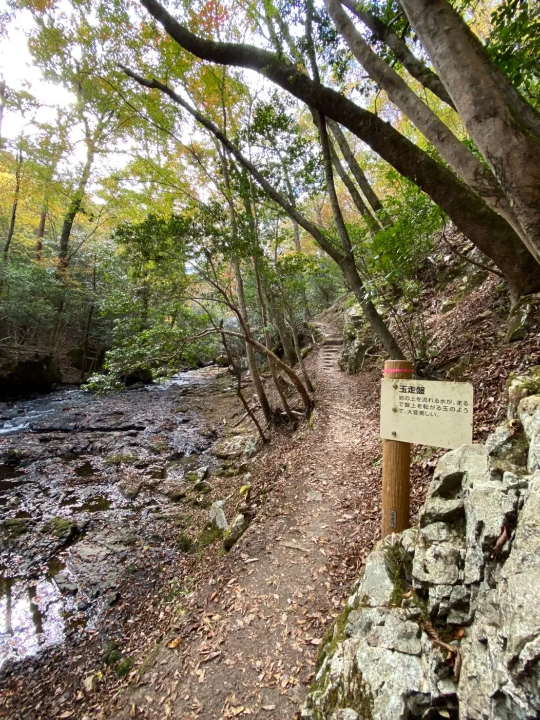 Kyoto Prefectural Rurikei Natural Park 3