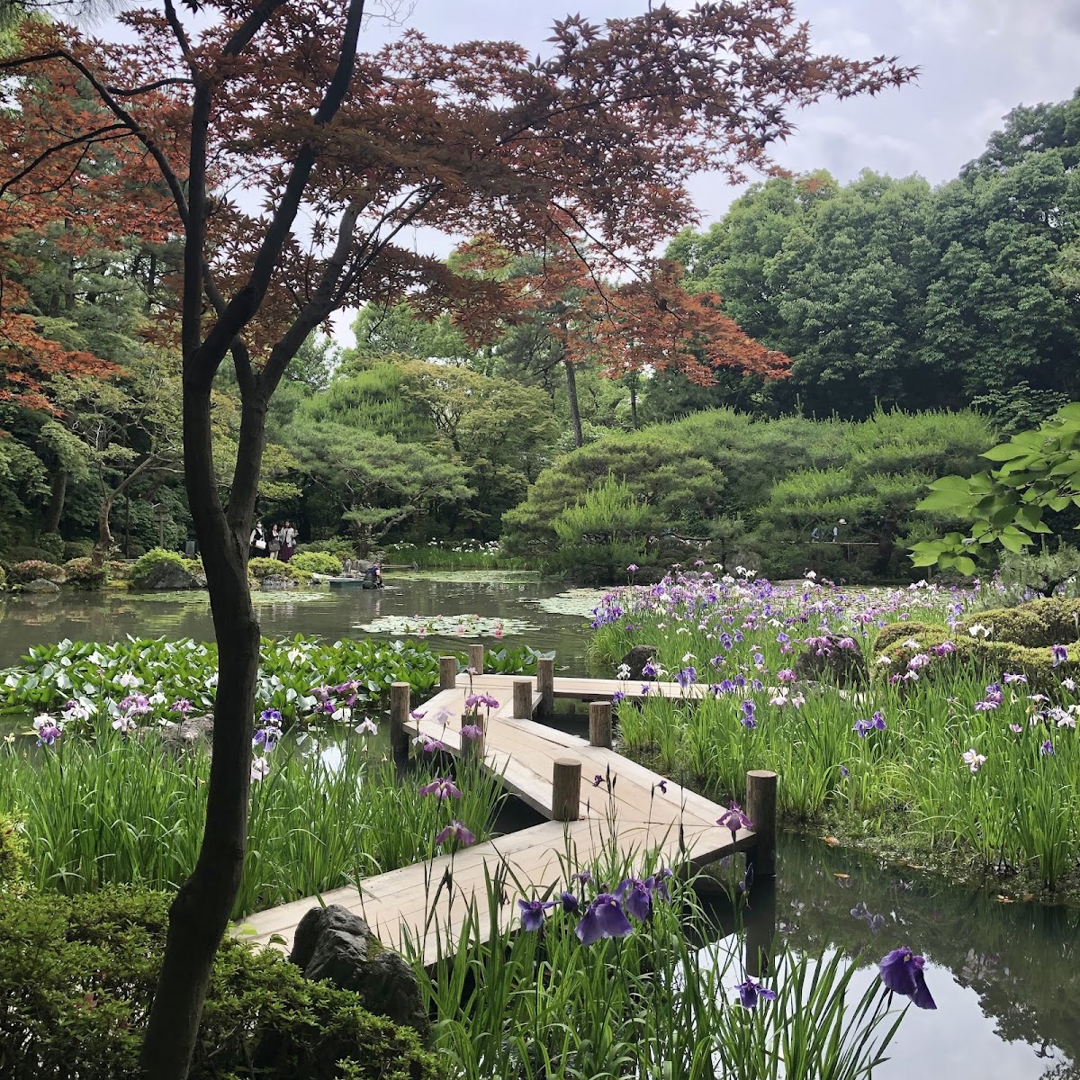 Heian-jingū Shrine 4