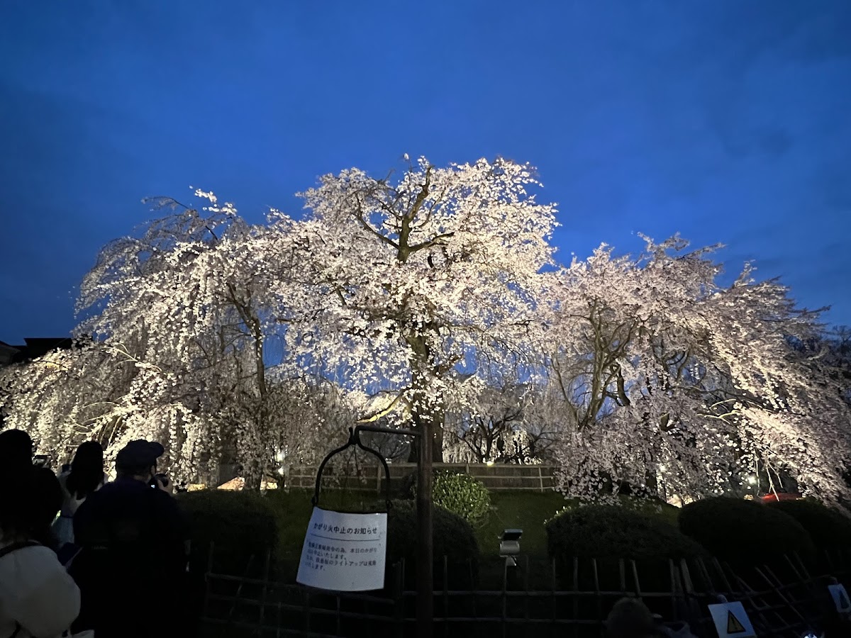 Maruyama Park 4