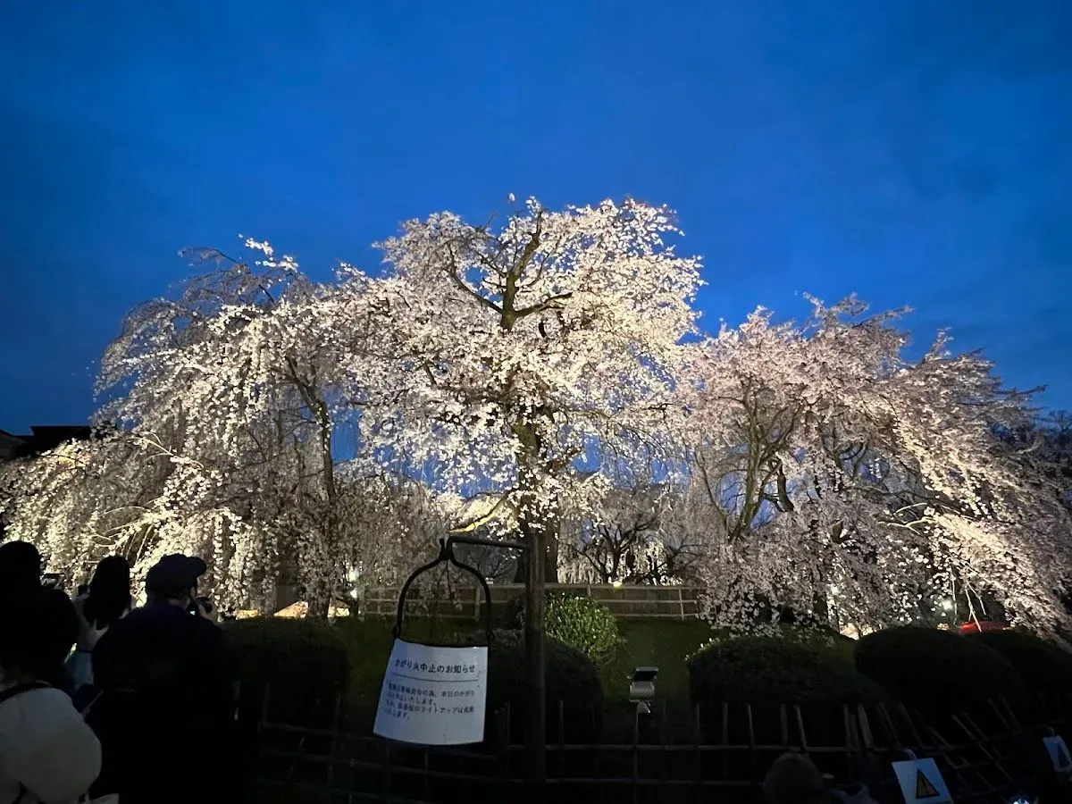 Maruyama Park 4