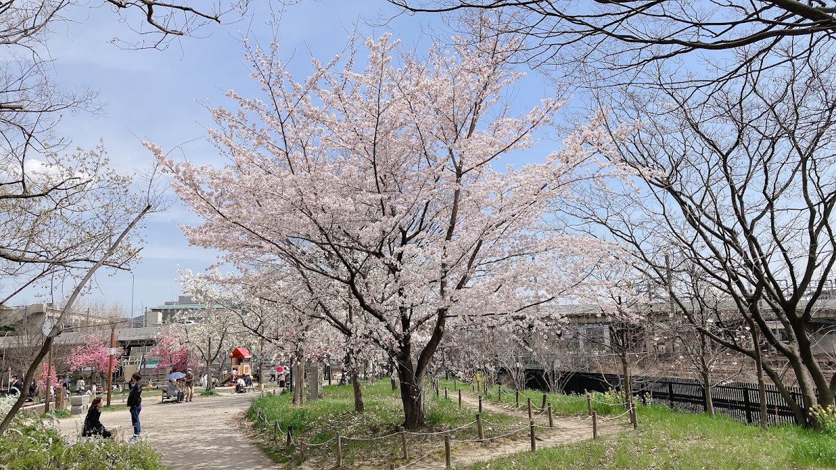 Umekōji Park 4