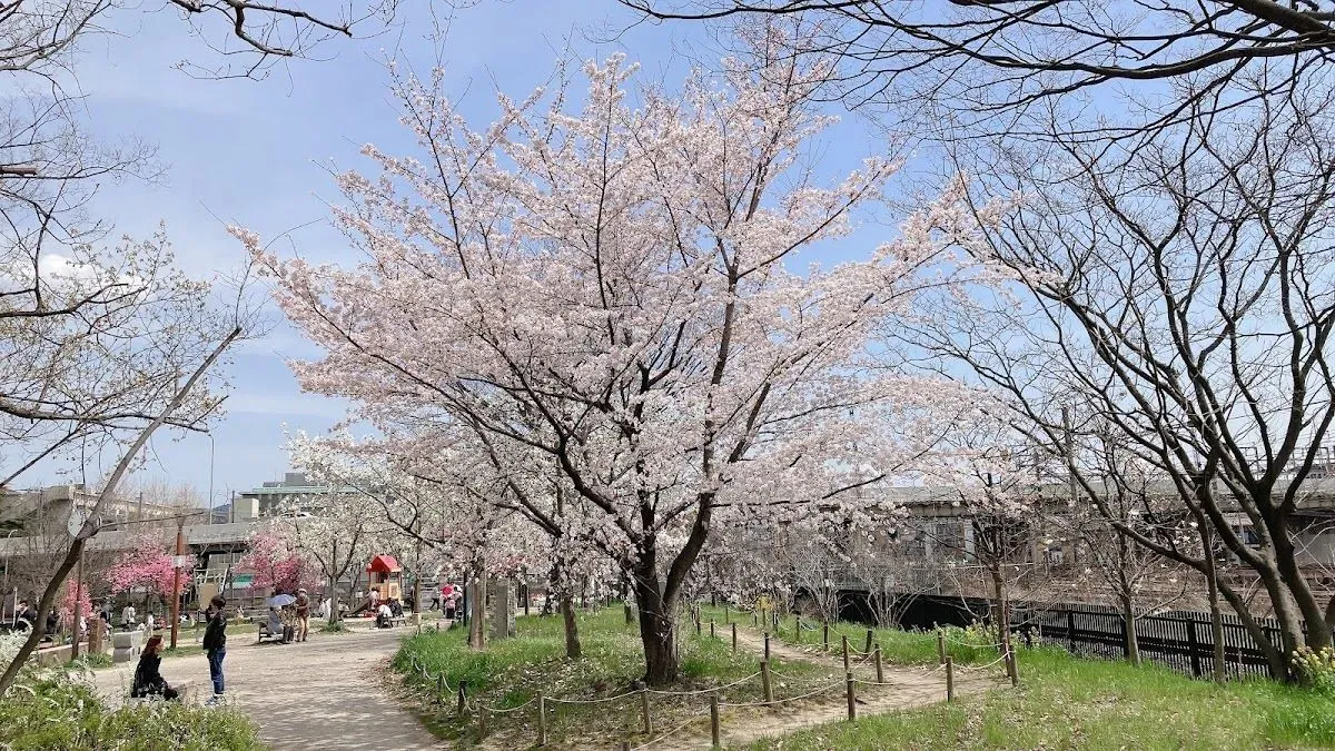 Umekōji Park 4