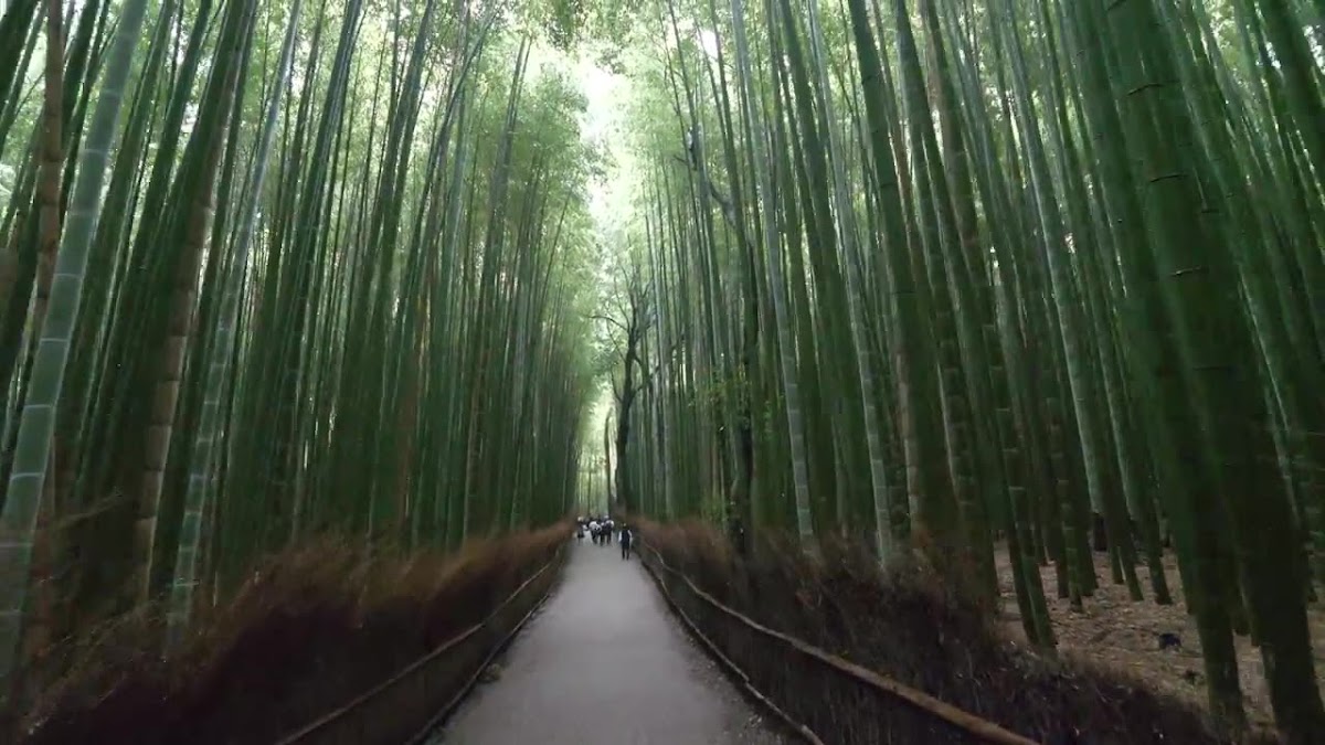Arashiyama Park Kameyama Area 3