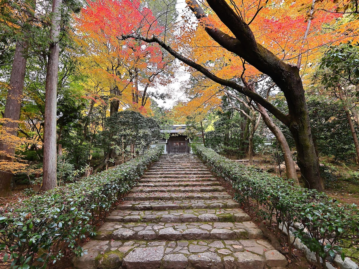 Ryōan-ji 3