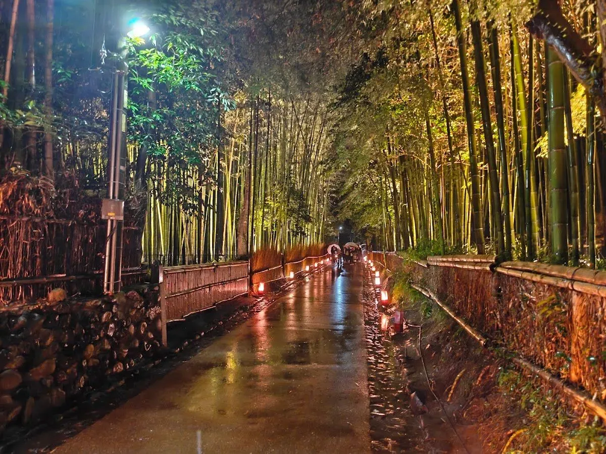 Arashiyama Bamboo Forest 2