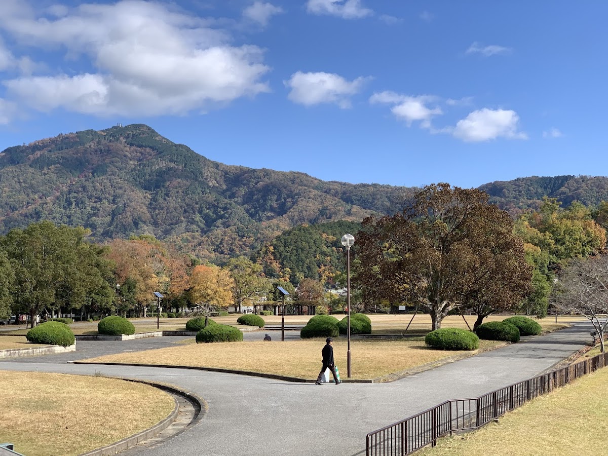 North Garden 2
