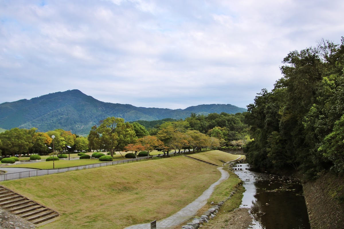 North Garden 4