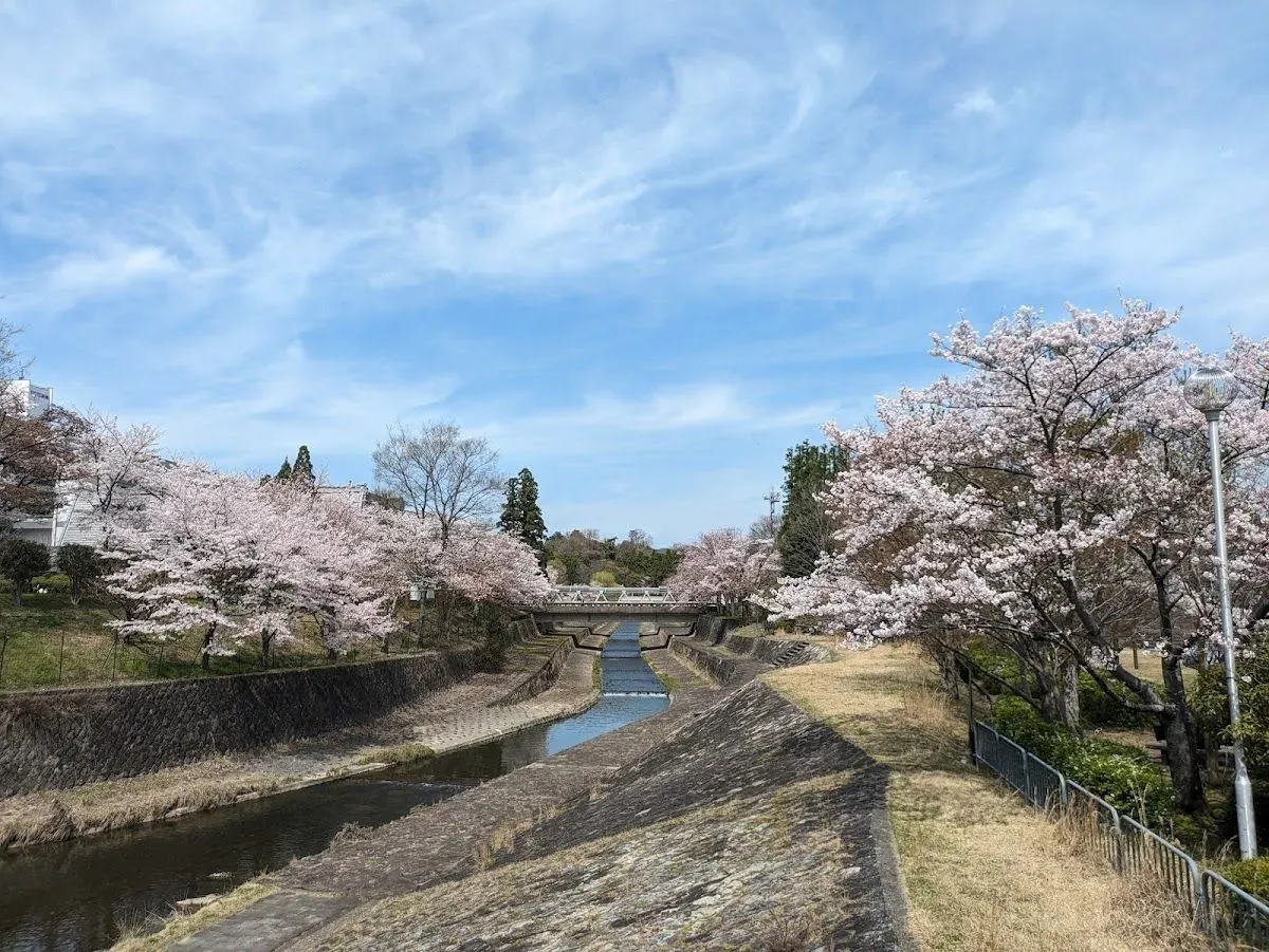 Takaragaike Park 4