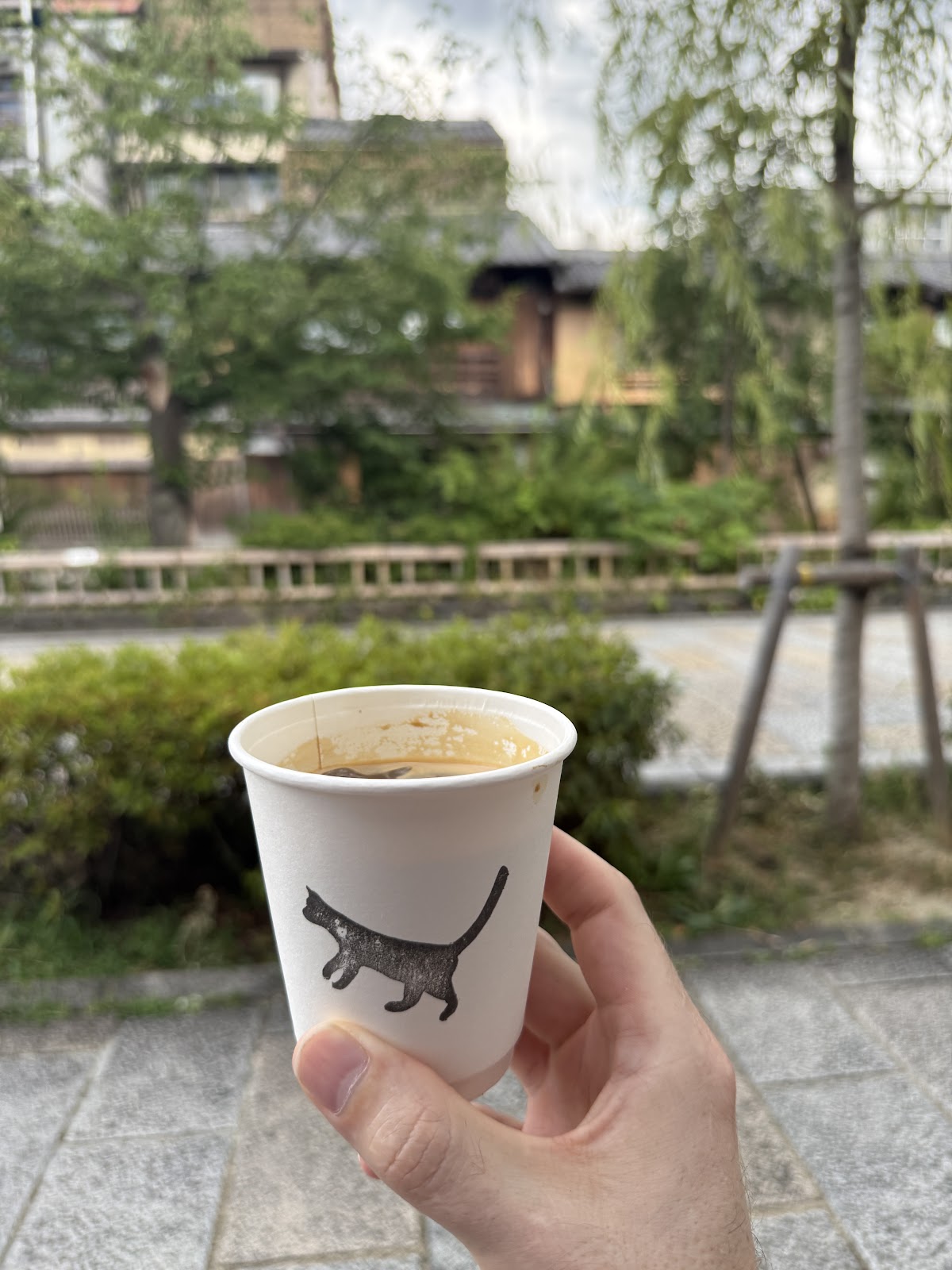 Black Cat Coffee 2
