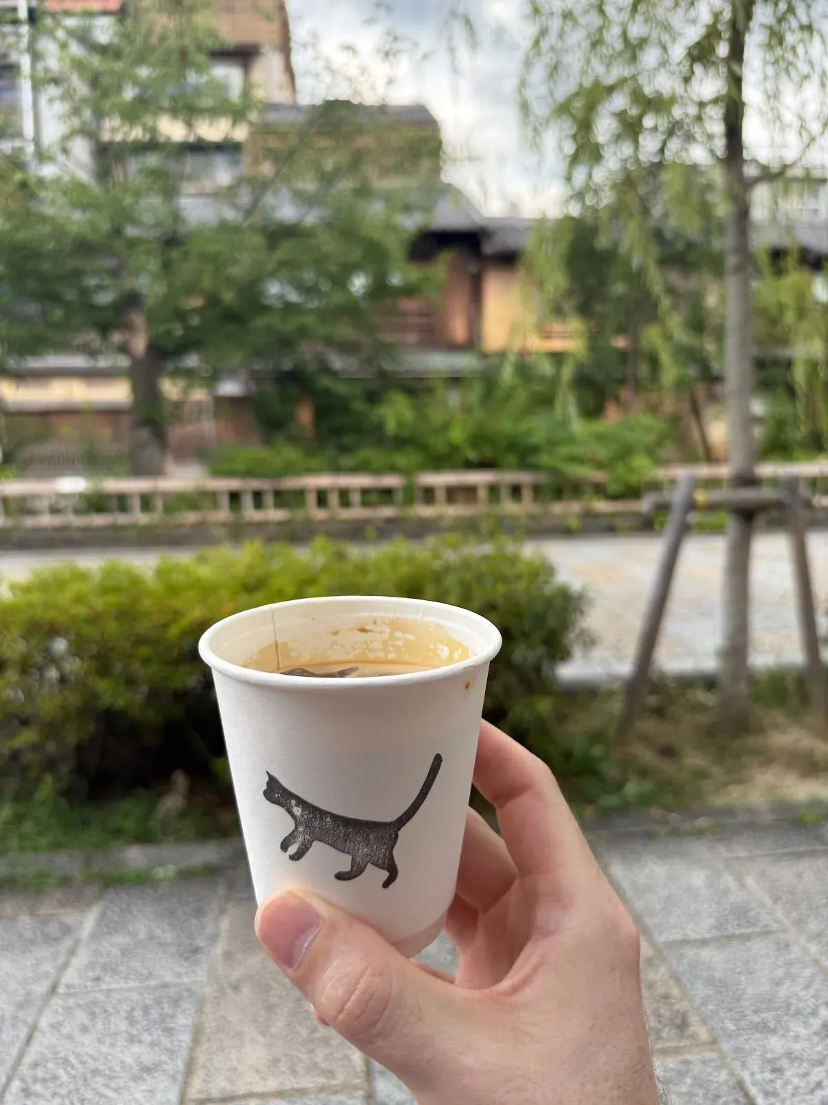 Black Cat Coffee 2