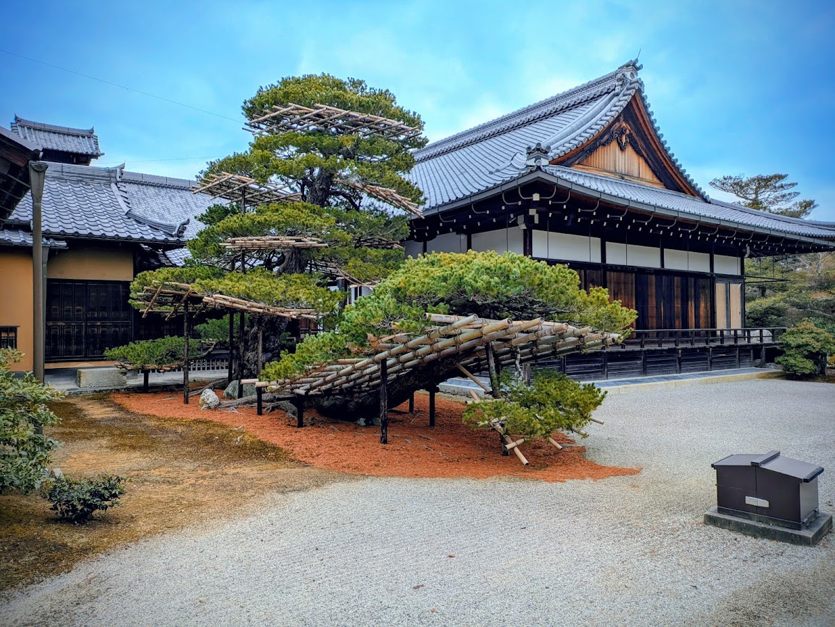 Kinkaku-ji 2