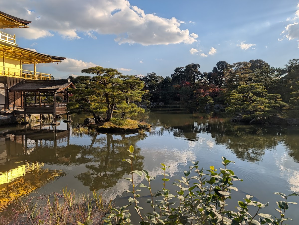 Kinkaku-ji 4